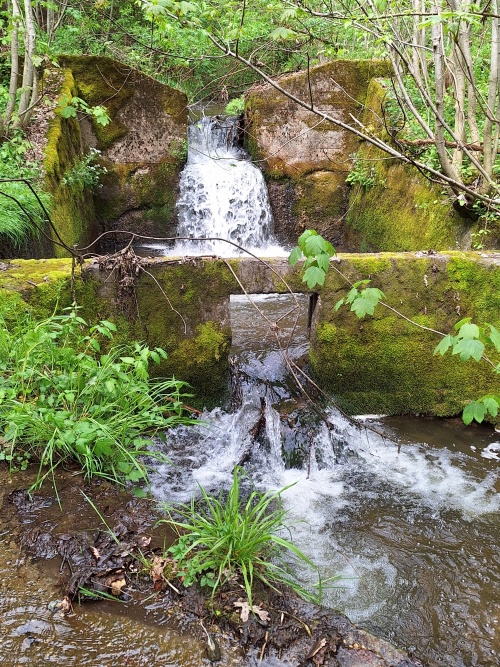 Ferlitz Säge - Wehr und Fischkalter am Pirkerbach 2025
