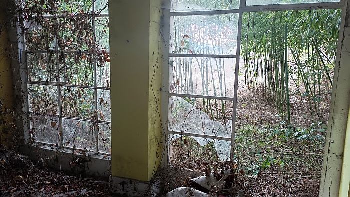 Blick aus dem Wintergarten 2026